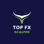 Top FX scalper