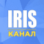 Iris | Чат-менеджер | Канал