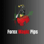Forex Magic pips (FMp)