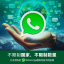 WhatsApp群发ws打粉ws拉群ws产号不怕封
