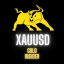 GOLD INSIDER (XAUUSD)