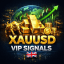 XAUUSD VIP Signals