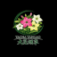 【大花烟草】免费送香烟 烟厂直营