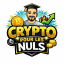 Crypto Pour Les Nuls